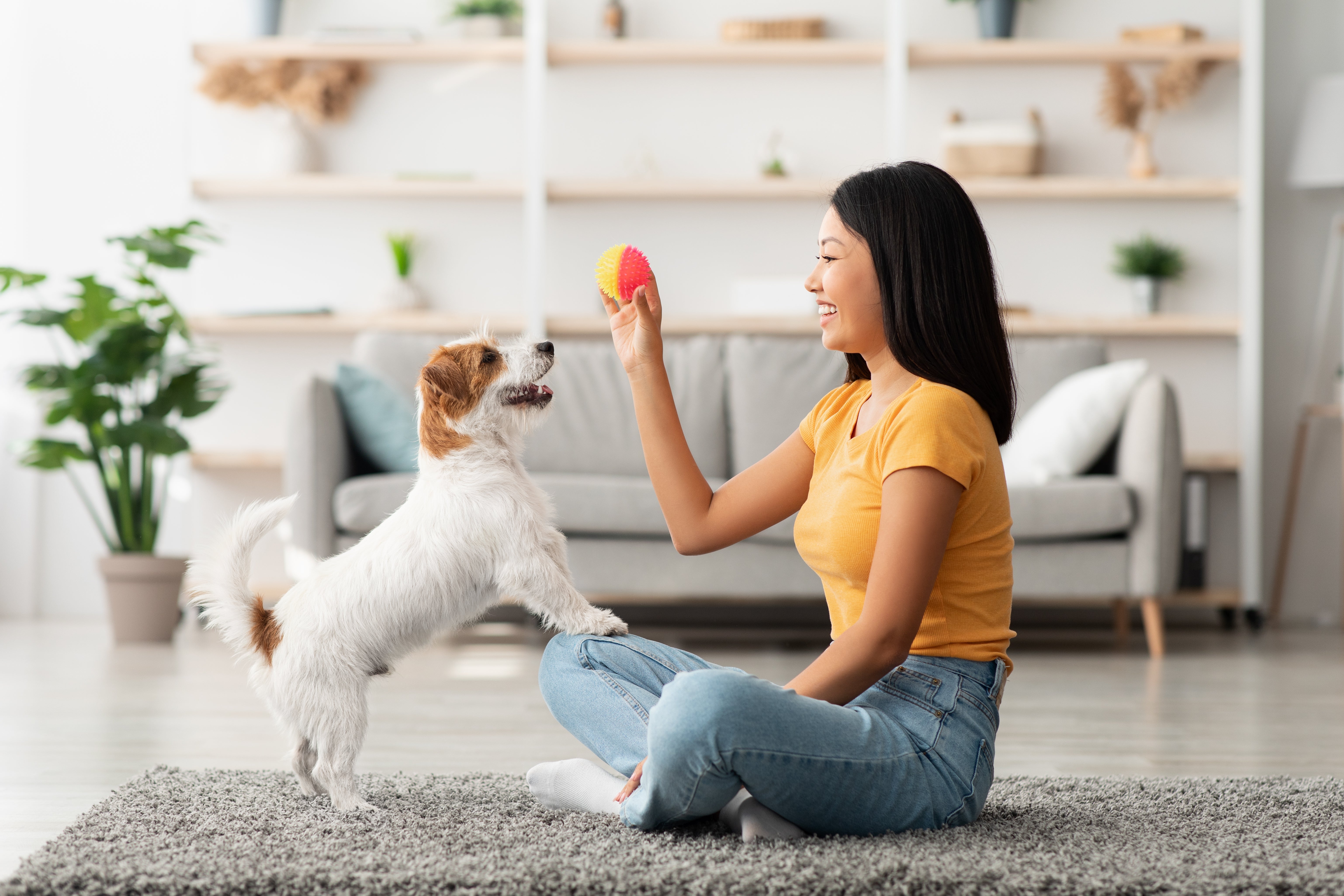 5 Simple Ways to Keep Your Pet Happy Every Day