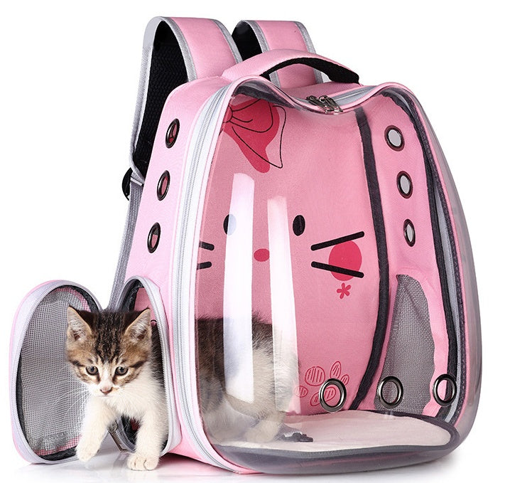 🐕‍🦺 Furry Friends on the Move: Choosing the Perfect Travel Carrier