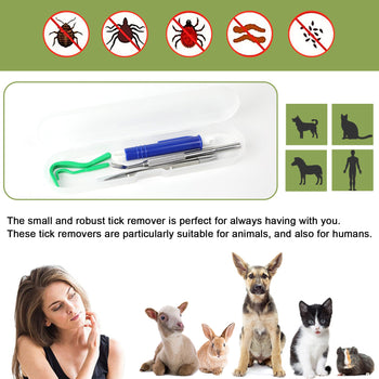 Pet Grooming