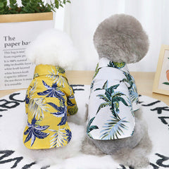 Collection image for: Pet Clothes