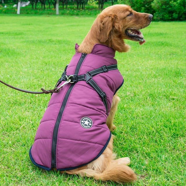 Pet Winter Jacket
