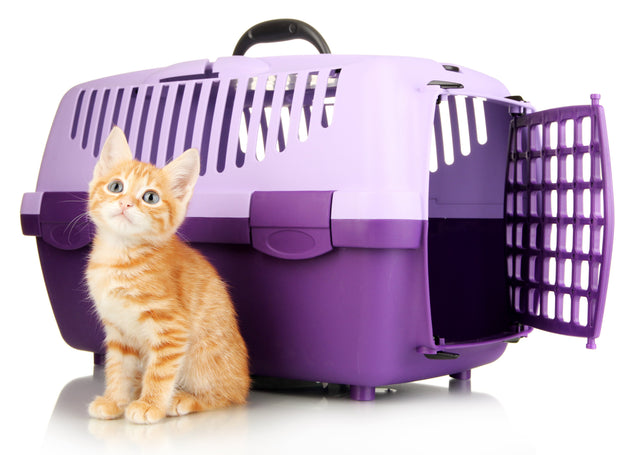 Pet Carriers