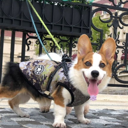 Small Dog Winter Coat – Hooded Jacket for Chihuahua & Puppy