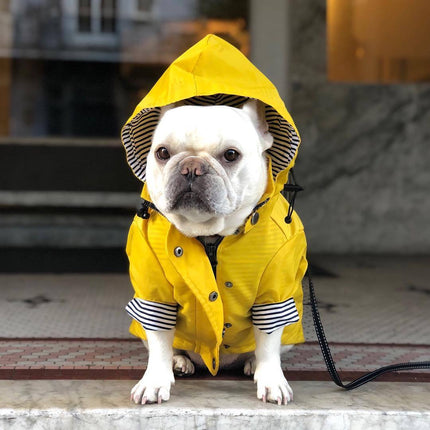 Dog Raincoat – Waterproof Pet Jacket for Wet Weather