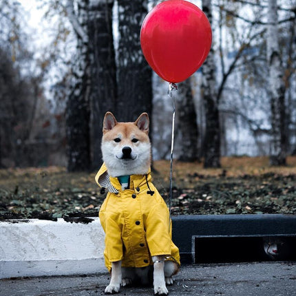 Dog Raincoat – Waterproof Pet Jacket for Wet Weather