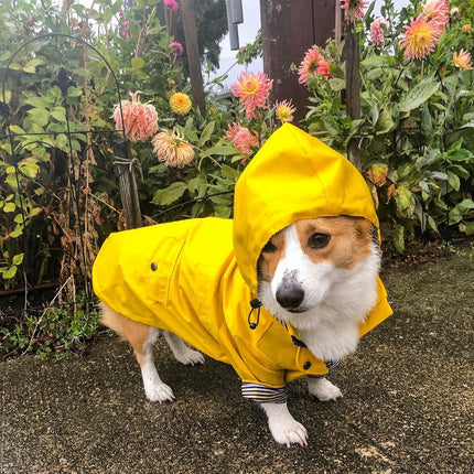 Dog Raincoat – Waterproof Pet Jacket for Wet Weather