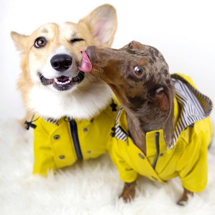Dog Raincoat – Waterproof Pet Jacket for Wet Weather