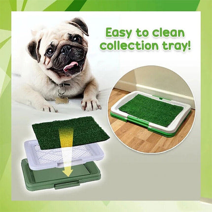 Grass Training Mat – Indoor Dog Potty