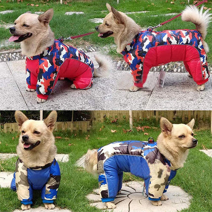 Winter Dog Coat – Thick Padded Jacket for Small Dogs