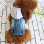 With hood / 2XL