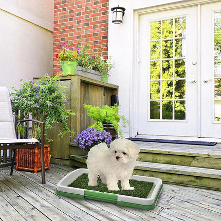 Grass Training Mat – Indoor Dog Potty