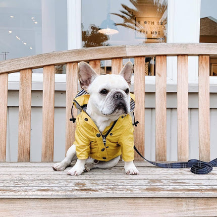 Dog Raincoat – Waterproof Pet Jacket for Wet Weather