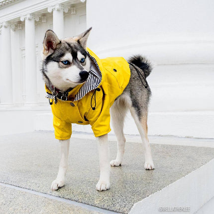 Dog Raincoat – Waterproof Pet Jacket for Wet Weather