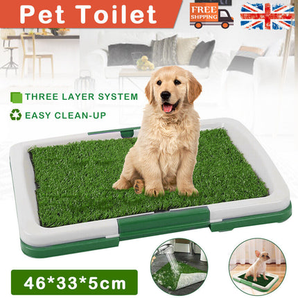 Grass Training Mat – Indoor Dog Potty