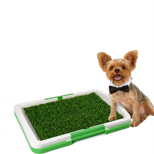 Grass Training Mat – Indoor Dog Potty