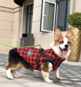 Small Dog Winter Coat – Hooded Jacket for Chihuahua & Puppy